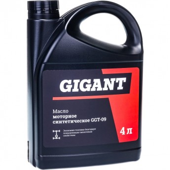 Синтетическое моторное масло GIGANT GGT-09